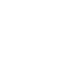 Applies AI algorithms to assign ICD-10-AM and combination codes with precision