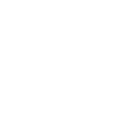 Manual + Automated Validation